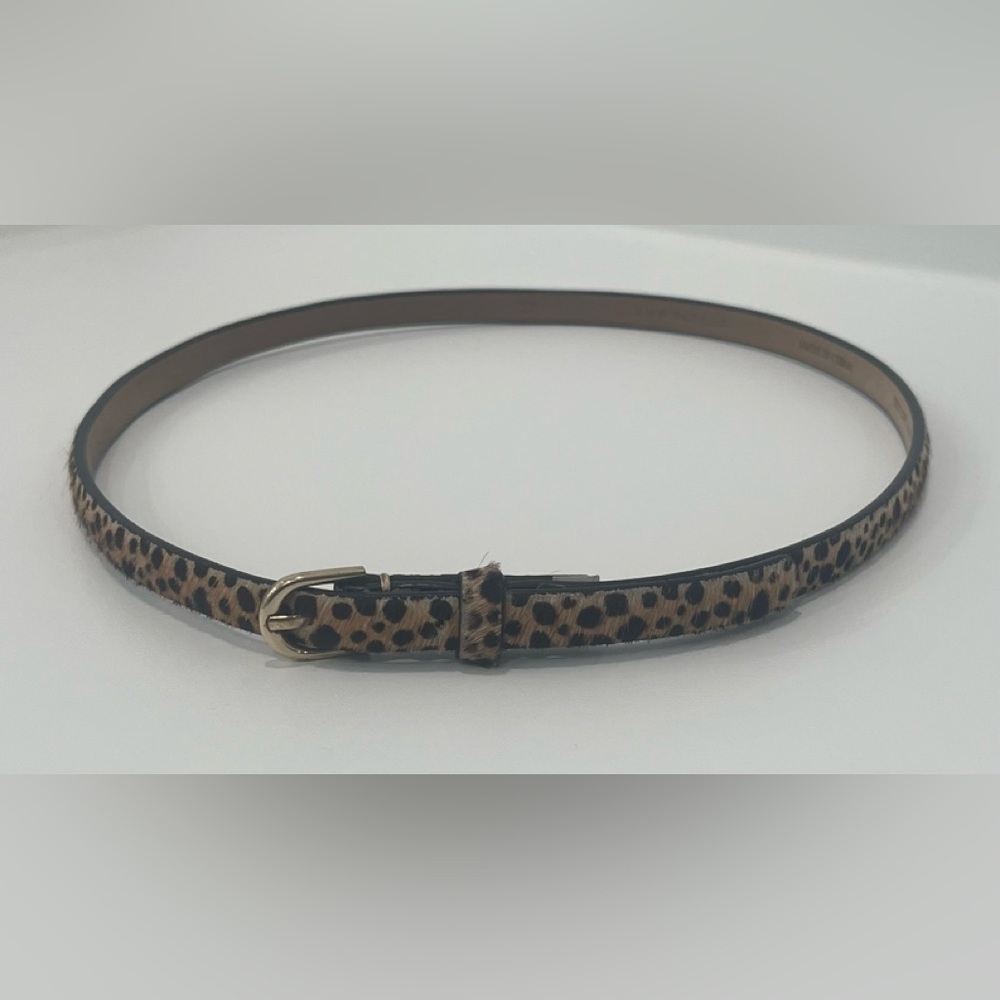 Ann Taylor Leopard Print Belt with Gold Buckle, Size XS